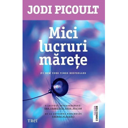 Mici lucruri marete - Jodi Picoult