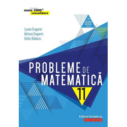 Probleme de matematica pentru clasa a XI-a - Lucian Dragomir, Adriana Dragomir, Ovidiu Badescu