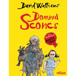 Domnul Sconcs - David Walliams