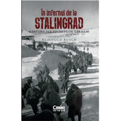 In infernul de la Stalingrad. Marturii ale soldatilor germani - Reinhold Busch