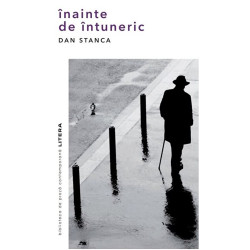 Inainte de intuneric - Dan Stanca