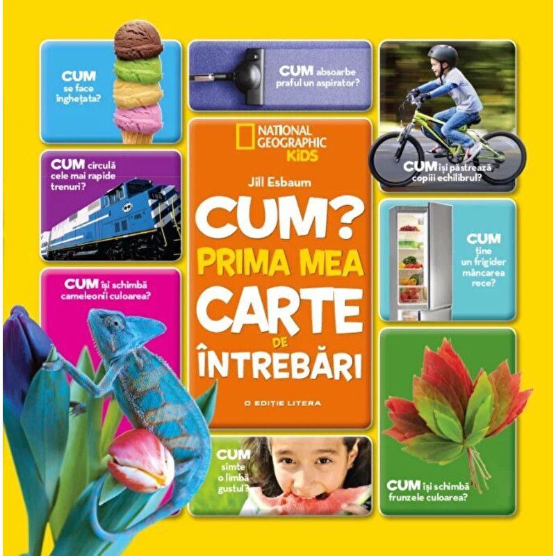 Cum? Prima mea carte de intrebari - Jill Esbaum