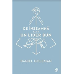 Ce inseamna sa fii un lider bun - Daniel Goleman