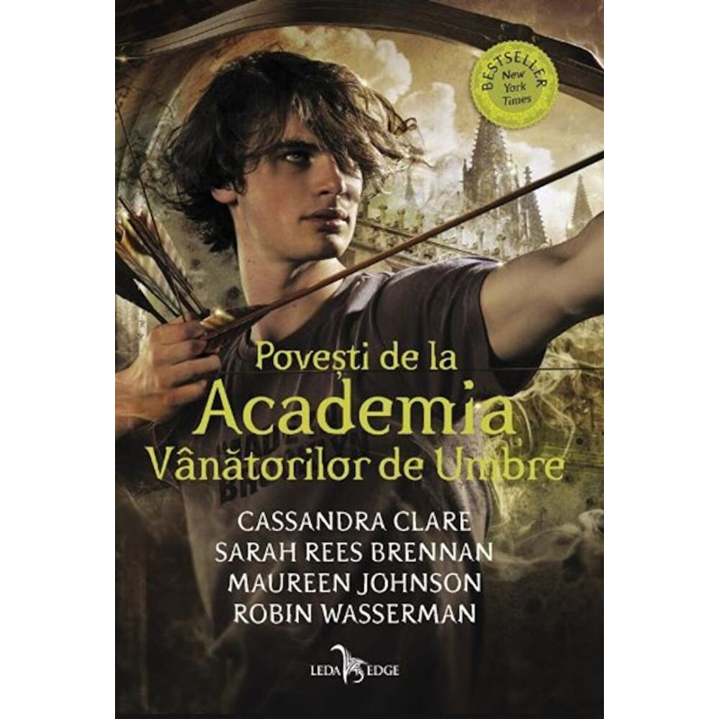 Povesti de la Academia Vanatorilor de umbre - Cassandra Clare, Sarah Rees Brennan, Maureen Johnson, Robin Wasserman