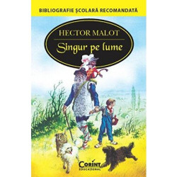 Singur pe lume - Hector Malot