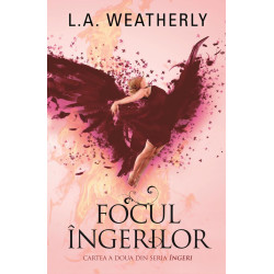 Focul ingerilor