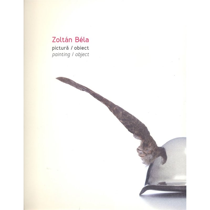 Pictura / Obiect. Painting / Object | Zoltan Bela