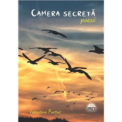 Camera secreta | Valentina Purtuc