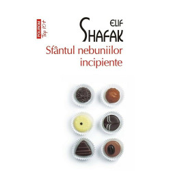 Sfantul nebuniilor incipiente (editie de buzunar) - Elif Shafak